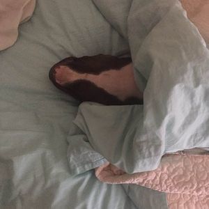 Meet your Posher, Kerry